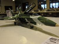 Shocon13-015