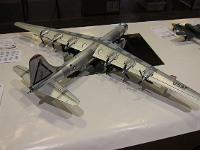 Shocon13-295